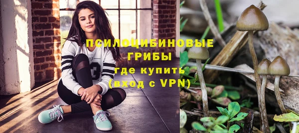 не бодяженный Верхний Тагил