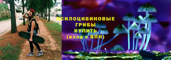 не бодяженный Верхний Тагил